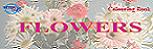 FLOWERS COLOURING IN